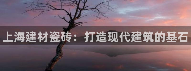 杏鑫官网注册账号怎么注册