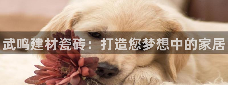 杏鑫平台怎么样黑钱吗