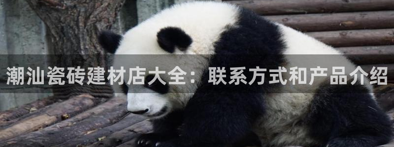 杏鑫官网最新信息新闻