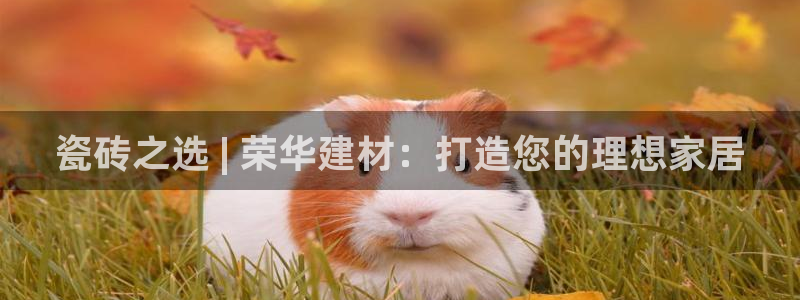 杏鑫注册登录平台是什么