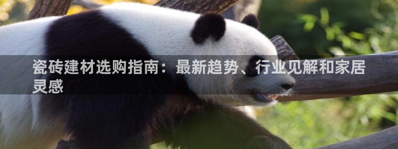 杏鑫娱乐怎么样