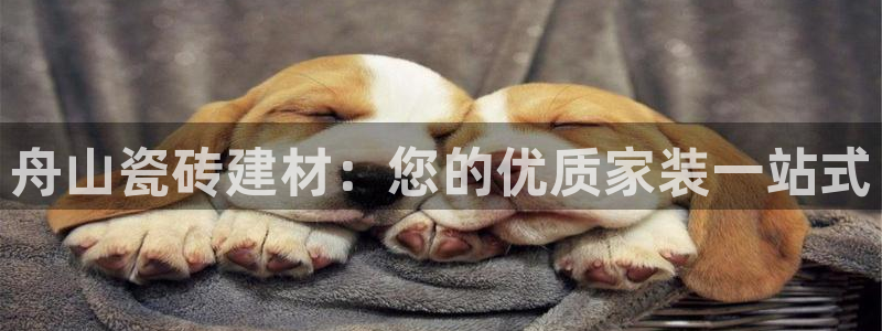 杏鑫平台代理怎么做的