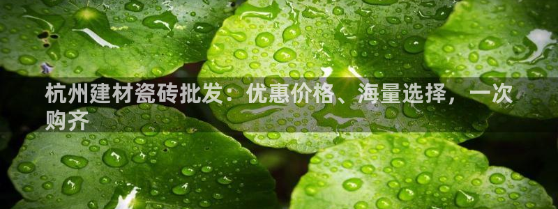 杏鑫平台下载安装