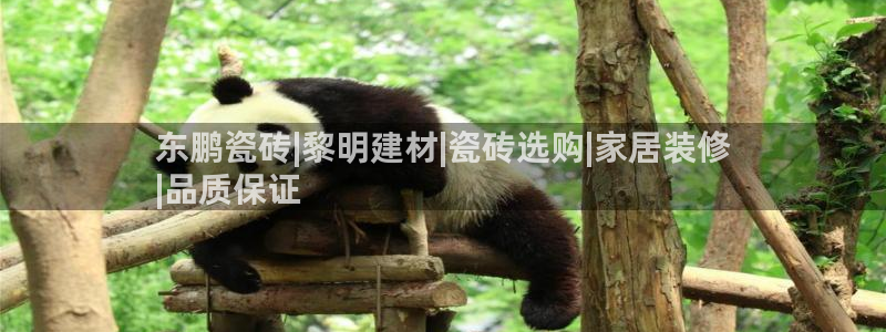 杏鑫官网注册账号怎么注册不了