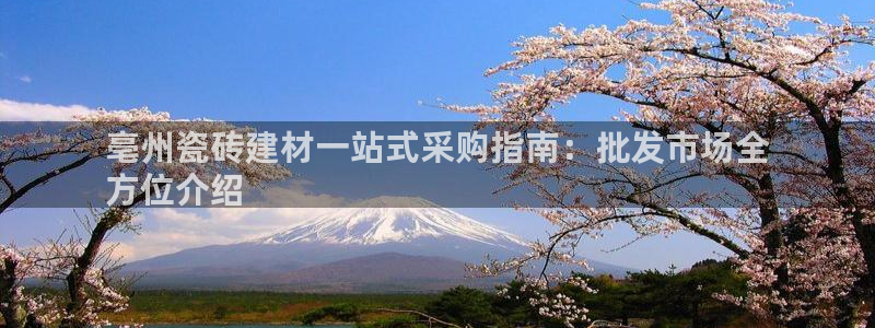 杏鑫平台代理注册流程视频