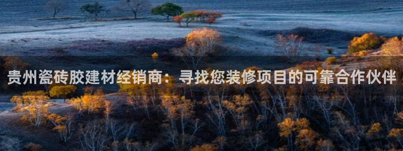 杏鑫平台注册入口