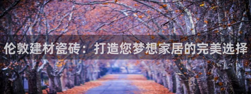 杏鑫娱乐开发团队