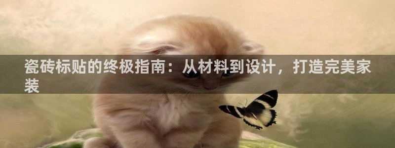 杏鑫平台代理注册多少钱一个