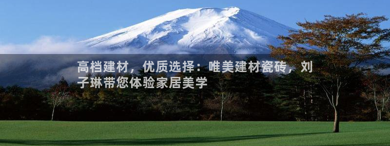 杏鑫平台代理注册流程视频