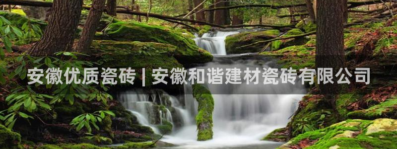 杏鑫娱乐官方网站客户端下载安装