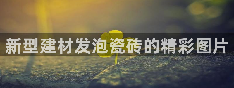 杏鑫官网注册账号怎么注册不了