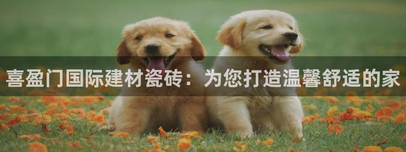 杏鑫平台怎么样黑钱吗安全吗是真的吗