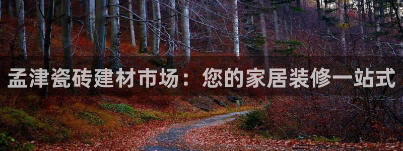 杏鑫官网注册账号是什么意思