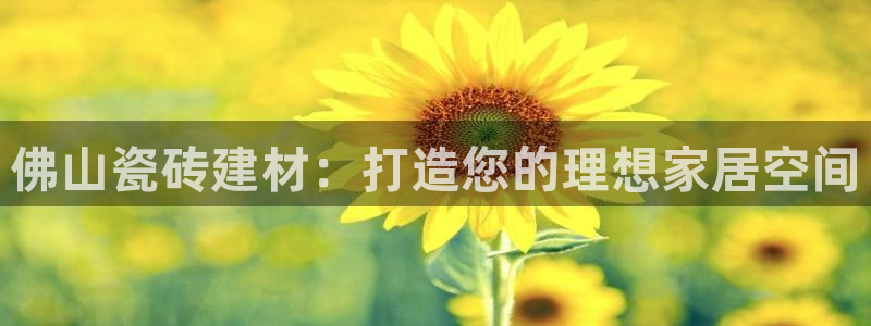 杏鑫平台正规吗