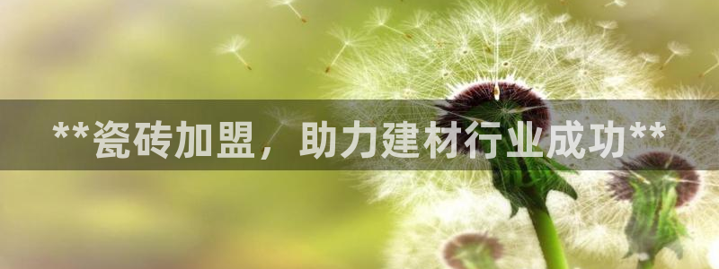 杏鑫平台代理怎么样赚钱