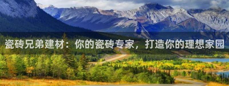 杏鑫平台代理注册流程图