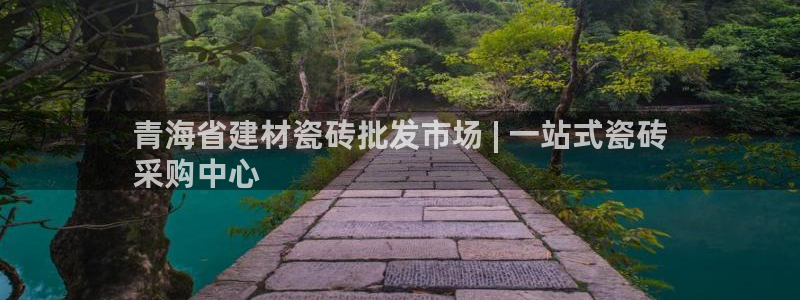 杏鑫平台代理注册