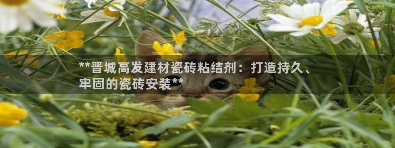 杏鑫娱乐官网首页