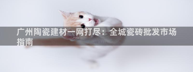 杏鑫平台登录地址