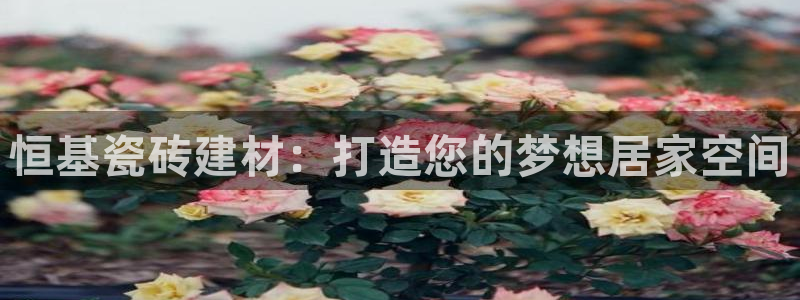 杏鑫代理注册平台