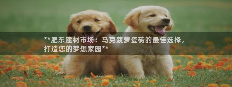 杏鑫官网注册账号