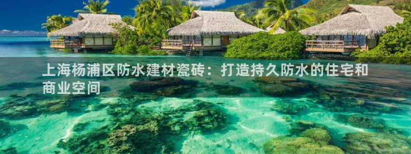 杏鑫娱乐是真的吗