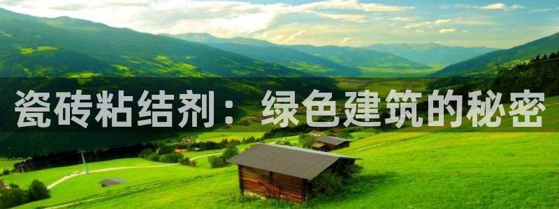 杏鑫平台注册网址是多少