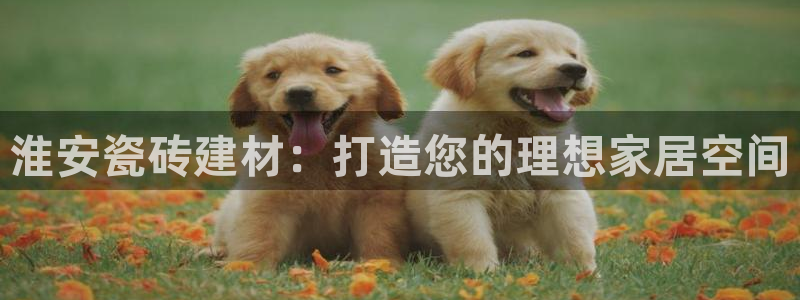 杏鑫平台代理注册多少钱一个