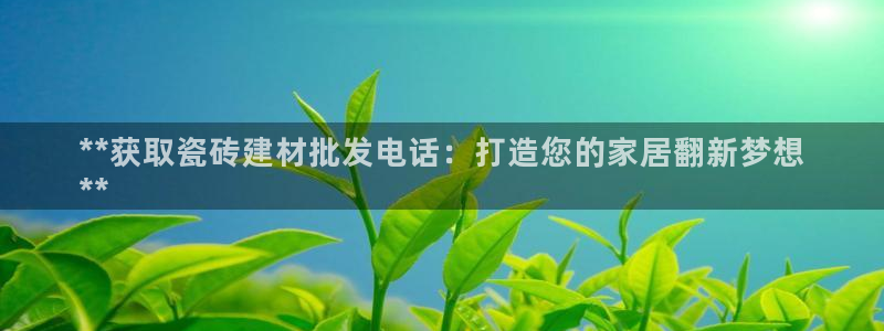 杏鑫平台招商怎么样