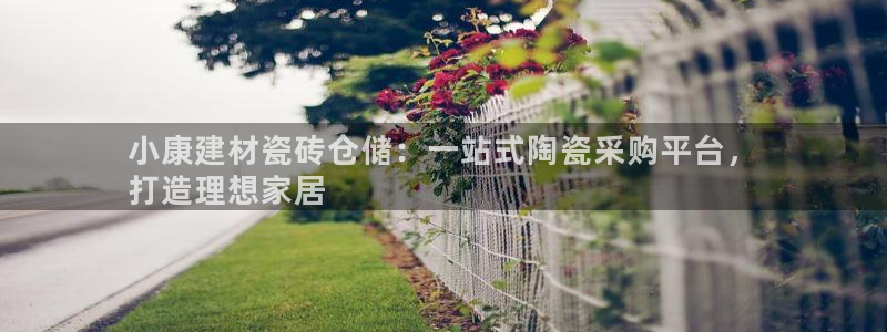 杏鑫平台注册地址在哪里