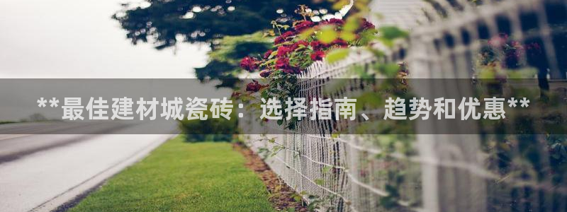 杏鑫平台代理怎么做