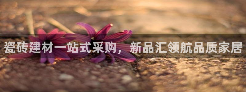 杏鑫平台代理注册登录不了怎么办呀苹果