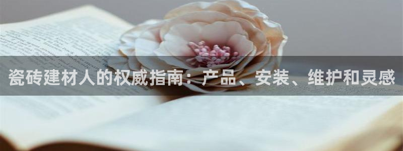 杏鑫代理注册资金多少