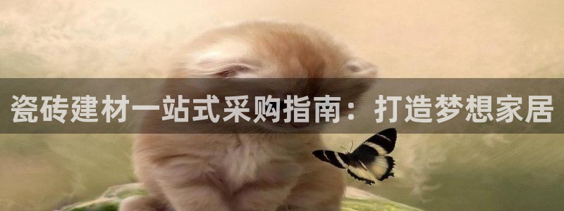 杏鑫平台代理注册流程