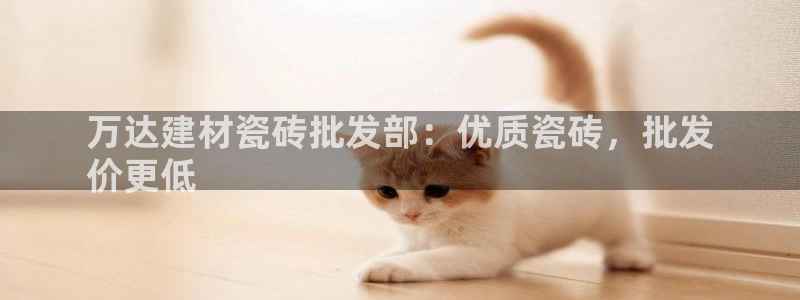 杏鑫平台注册网址查询