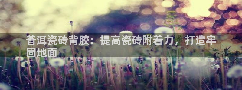 杏鑫注册平台官方网站是什么