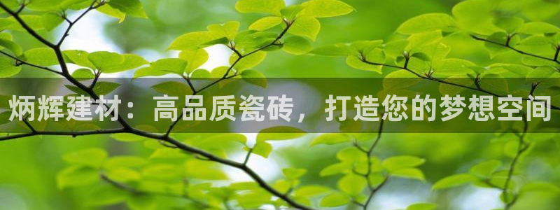 杏鑫注册登录平台是什么