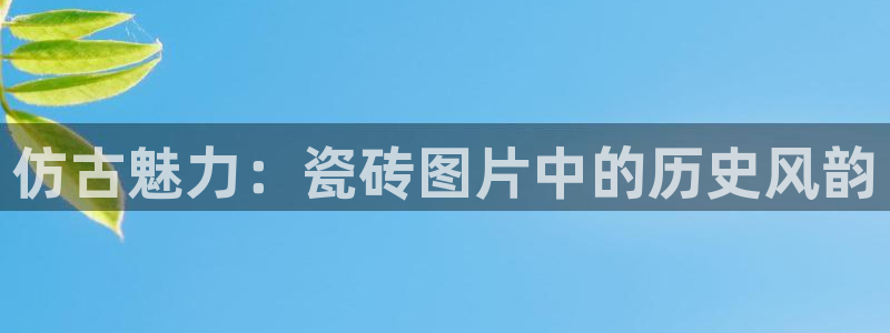 杏鑫平台代理注册流程