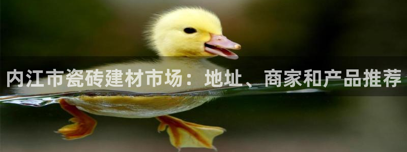 杏鑫手机客户端怎么下载