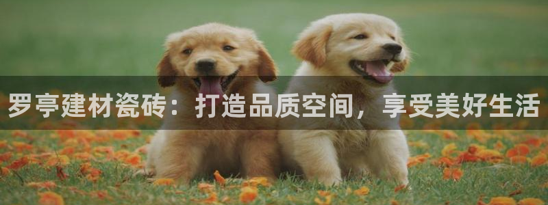 杏鑫平台平台娱乐