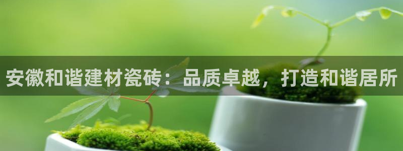 杏鑫平台待遇