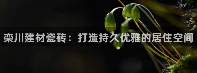 杏鑫娱乐是真的吗知乎