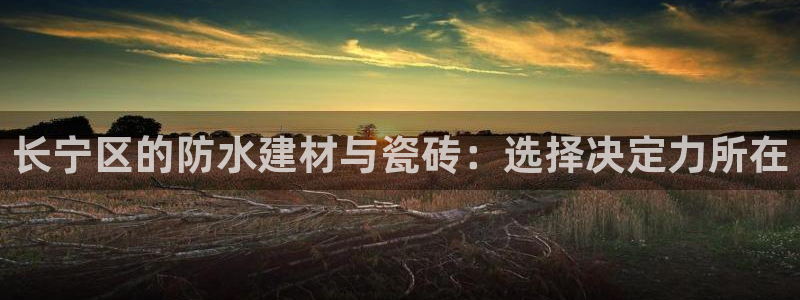 杏鑫手机客户端