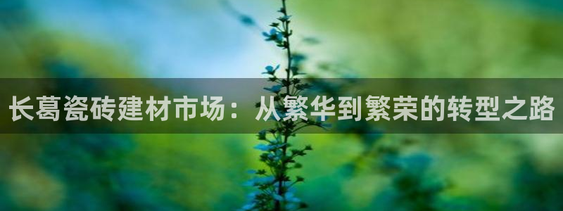 杏鑫平台是黑平台吗是真的吗