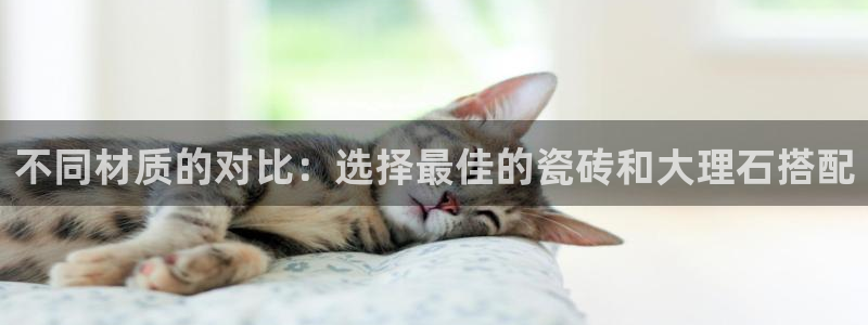 杏鑫官方平台怎么样啊安全吗