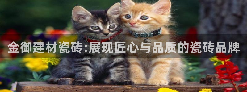 杏鑫娱乐开发团队