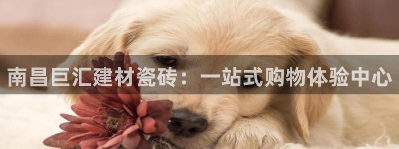 杏鑫平台平台娱乐