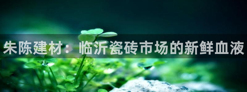 杏鑫官方平台怎么样