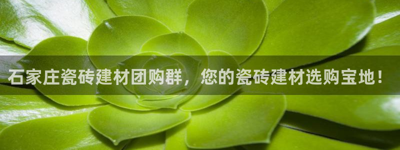 杏鑫平台代理怎么做