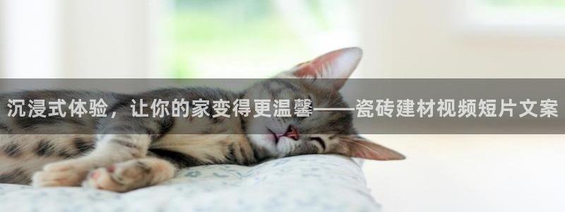 杏鑫平台怎么样知乎